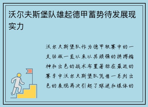 沃尔夫斯堡队雄起德甲蓄势待发展现实力